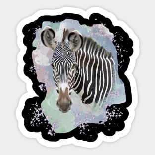 Zebra on Safari in Kenya / Africa Sticker